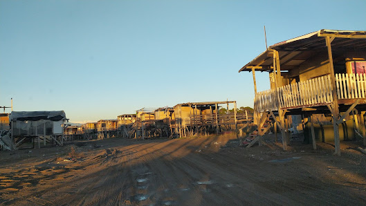 Kumköy Çadır Kampı Yerel İşletme fotoğrafı 2